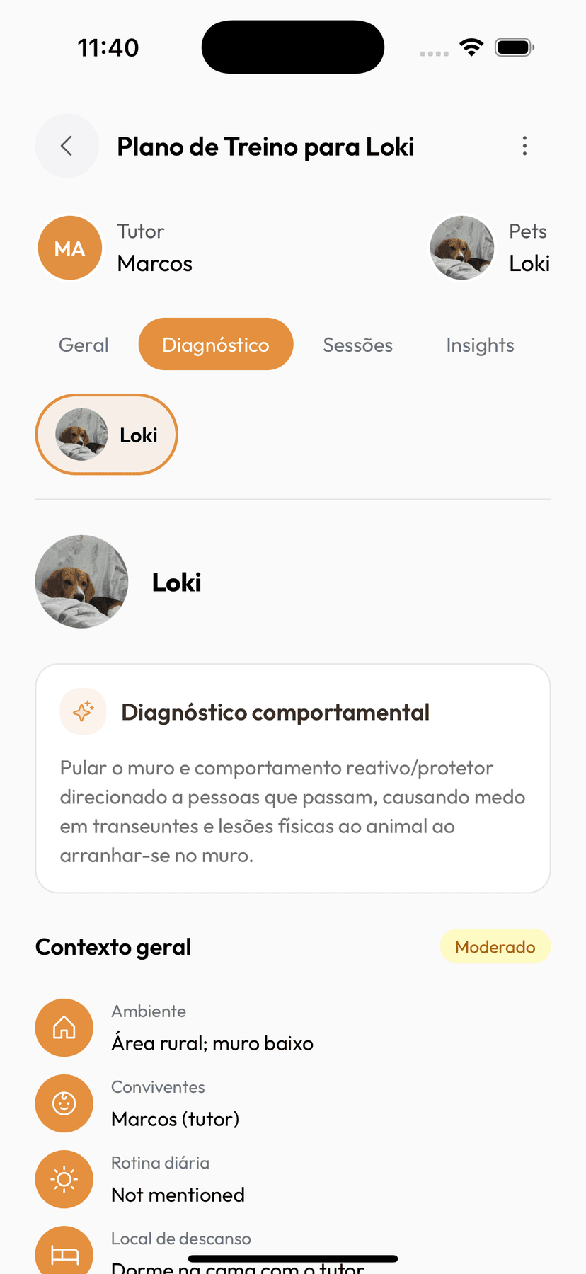 A IA analisa e estrutura tudo